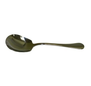 Day and Age Elegance Serving Spoon